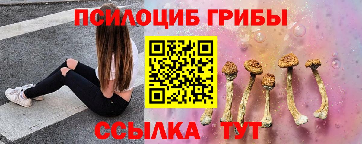 продажа наркотиков  Вход с VPN  Феодосия  Галлюциногенные грибы Psilocybine cubensis 
